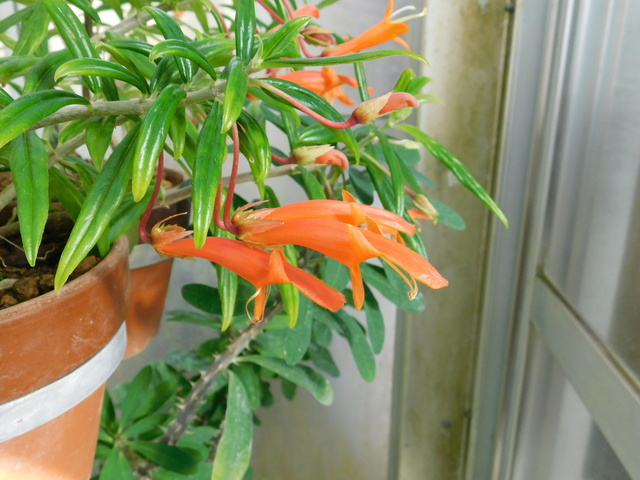 DSCN1486.JPG