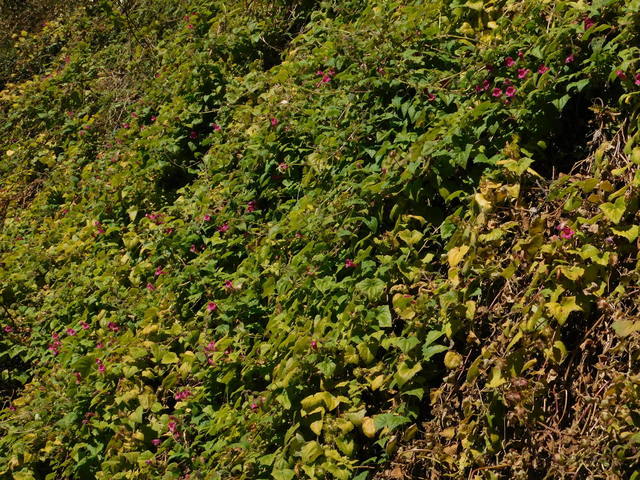 DSCN1808.JPG