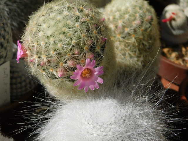 DSCN1840.JPG