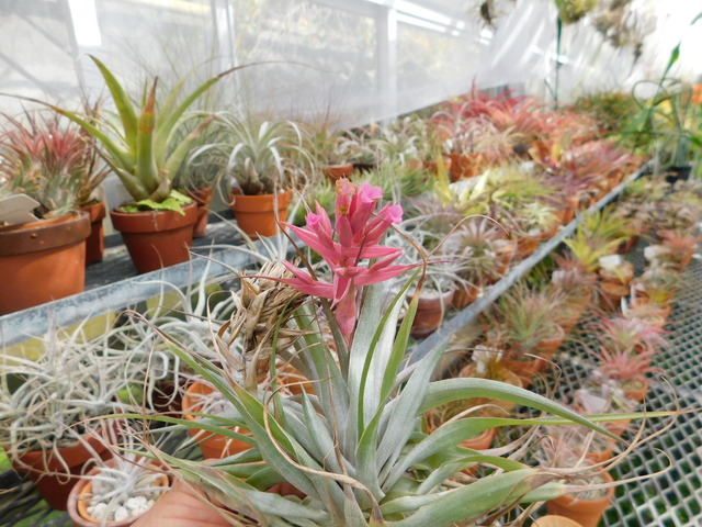 DSCN2199.JPG