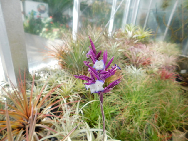 DSCN2202.JPG