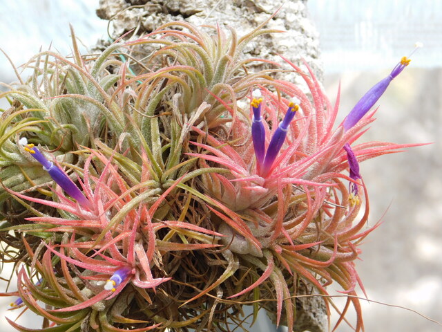 DSCN2206.JPG