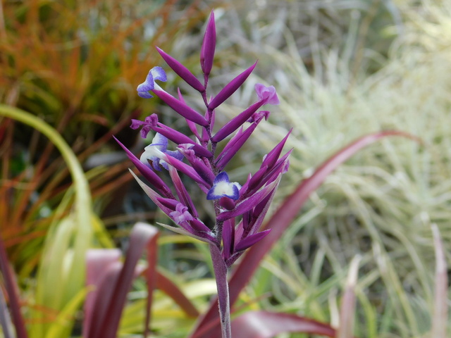 DSCN2208.JPG