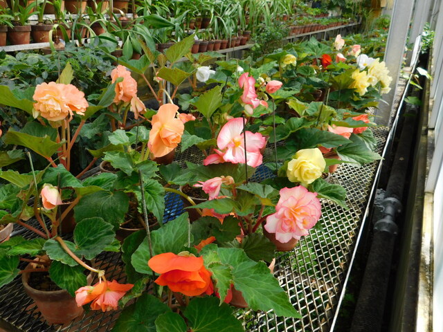 DSCN2210.JPG