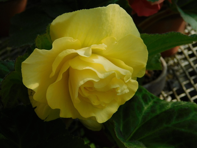 DSCN2215.JPG