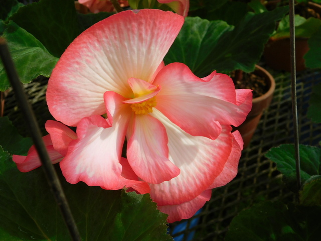 DSCN2220.JPG