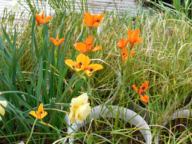 DSCN2409.JPG