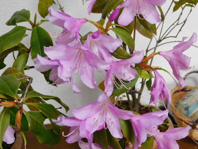 DSCN2417.JPG