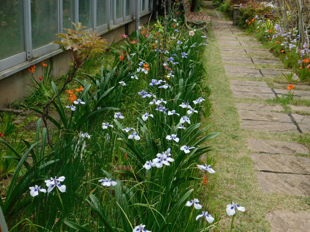 DSCN2430.JPG