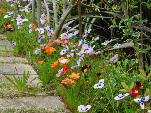 DSCN2435.JPG