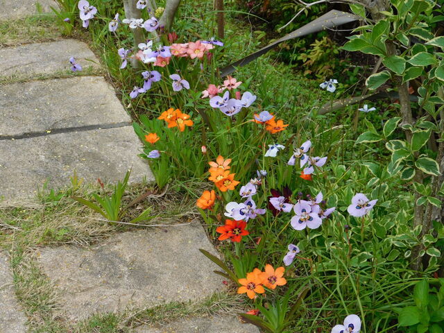DSCN2437.JPG