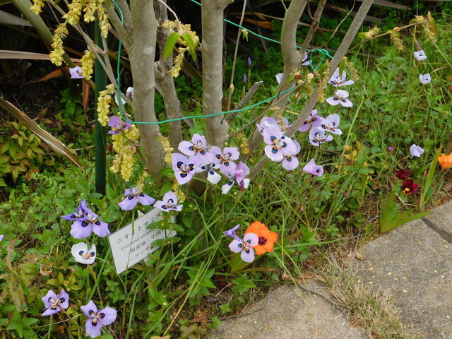 DSCN2439.JPG