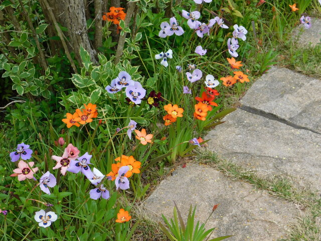 DSCN2441.JPG