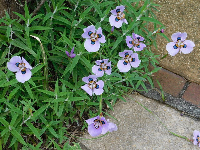 DSCN2443.JPG
