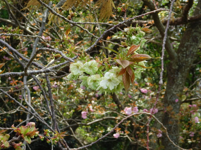 DSCN2789.JPG