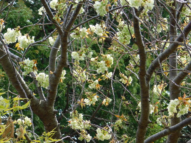 DSCN2790.JPG