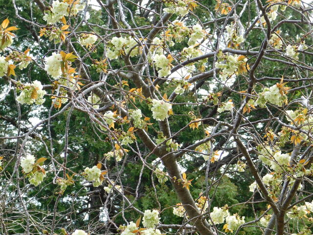 DSCN2797.JPG