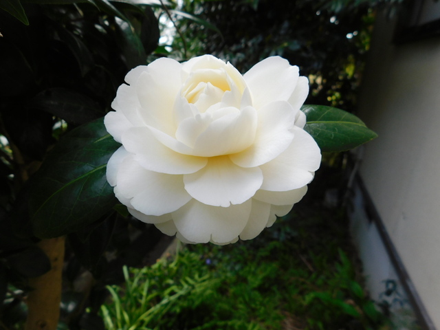 DSCN2800.JPG