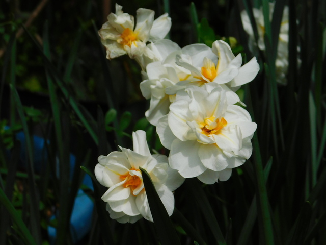 DSCN2810.JPG