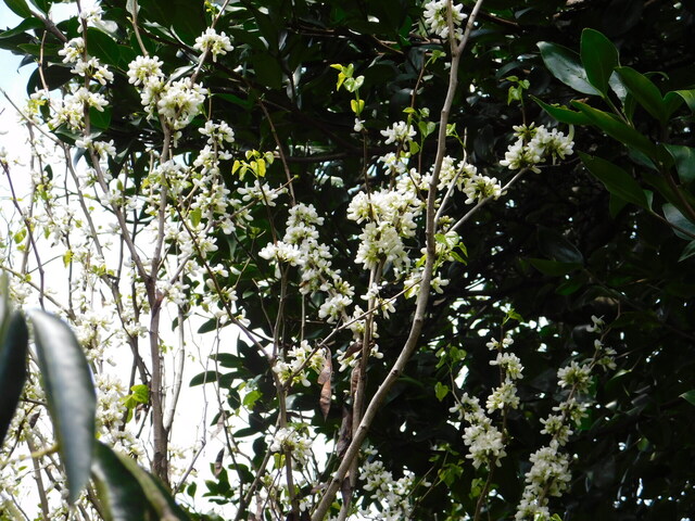 DSCN2845.JPG