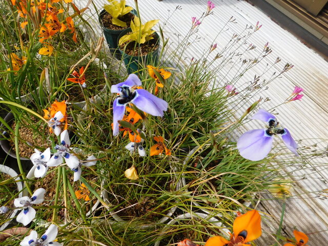 DSCN2850.JPG