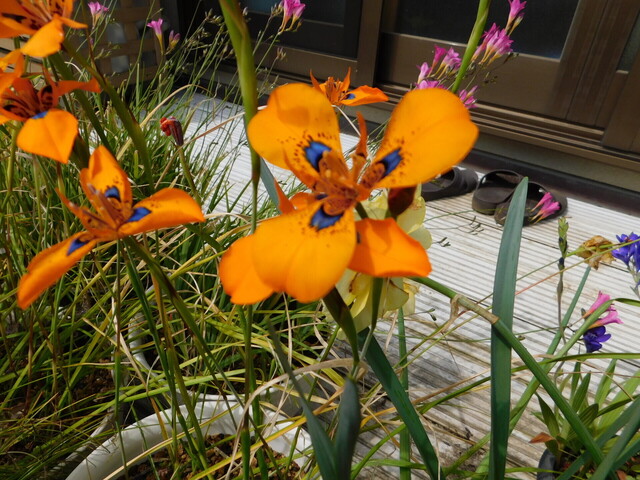 DSCN2856.JPG