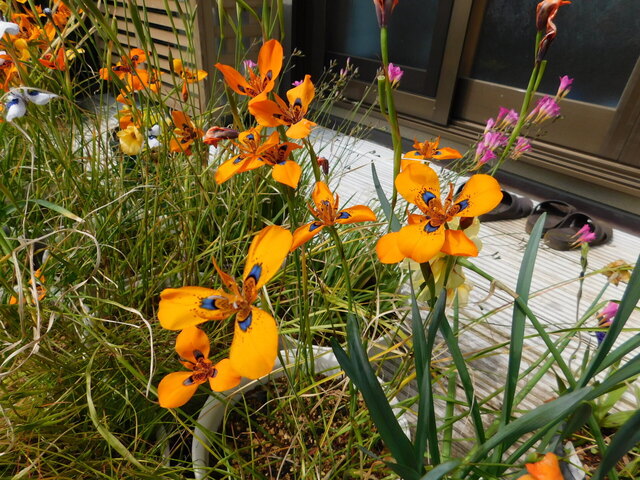 DSCN2857.JPG