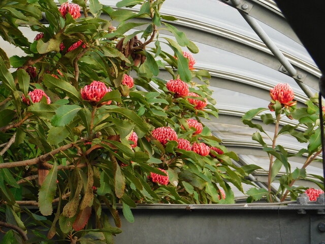DSCN2913.JPG