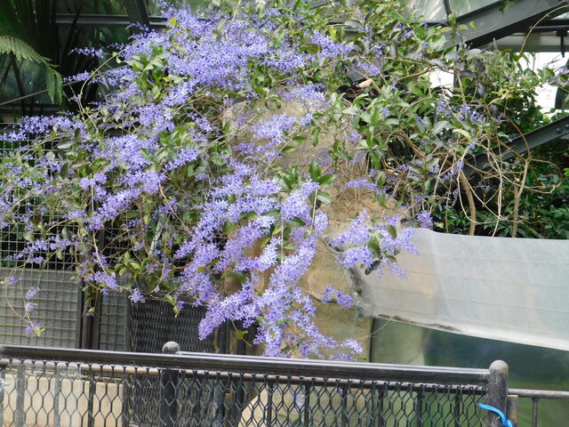 DSCN2934.JPG