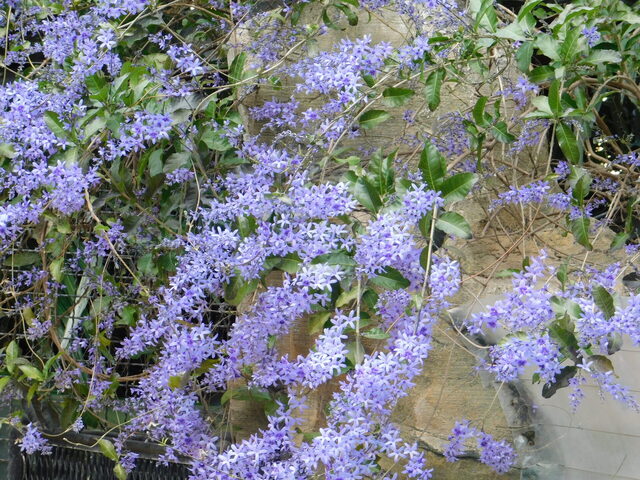 DSCN2935.JPG