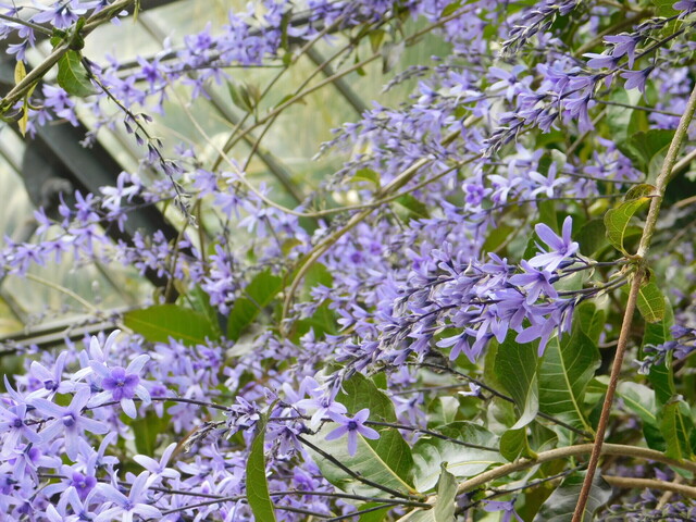 DSCN2938.JPG