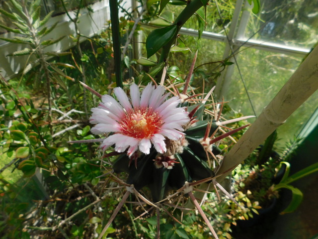 DSCN2960.JPG