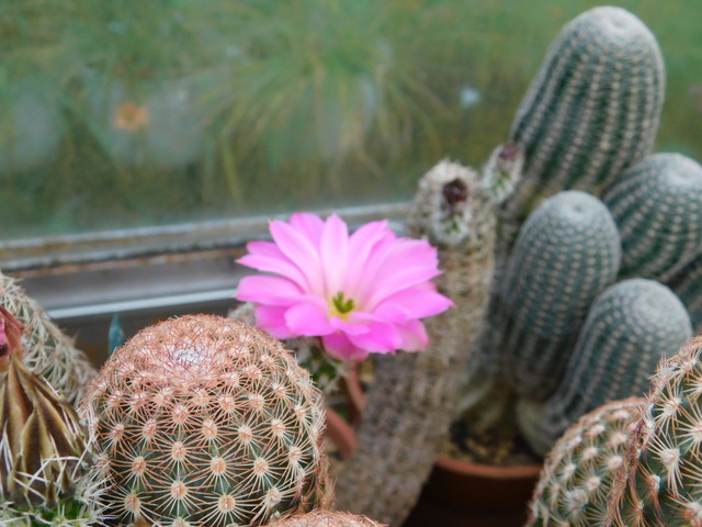 DSCN2979.JPG
