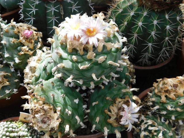DSCN2987.JPG