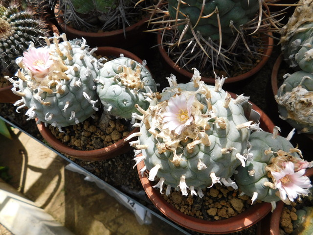 DSCN2991.JPG