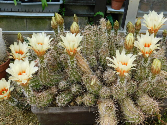 DSCN2997.JPG
