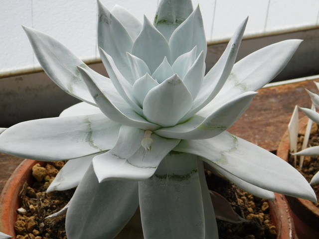 DSCN3140.JPG