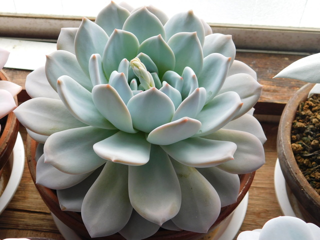 DSCN3142.JPG