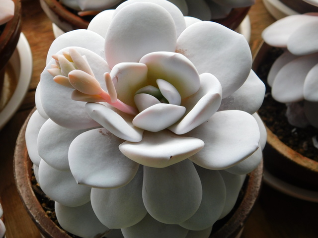 DSCN3143.JPG