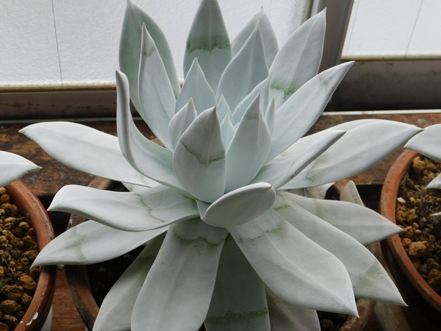 DSCN3148.JPG