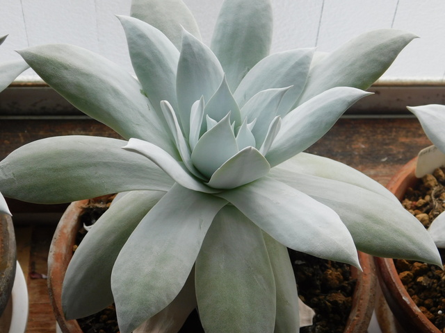 DSCN3150.JPG