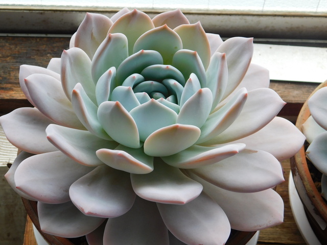 DSCN3153.JPG