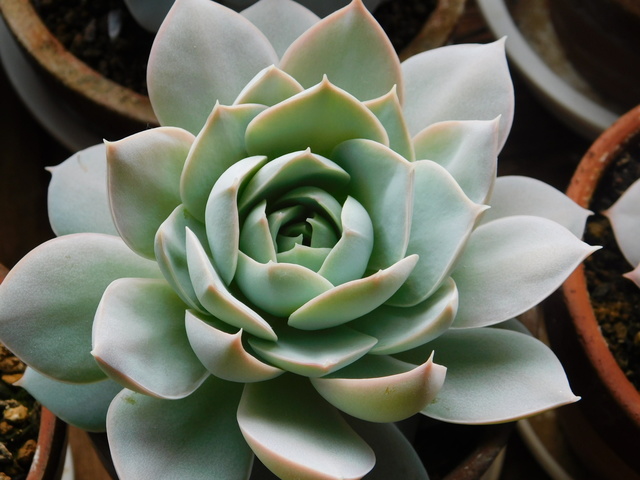 DSCN3158.JPG