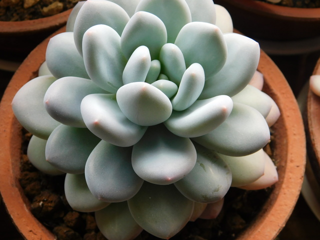 DSCN3160.JPG