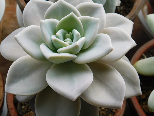 DSCN3163.JPG