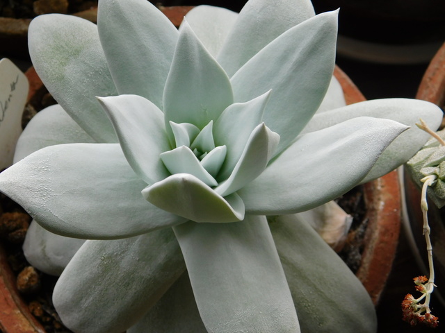 DSCN3165.JPG