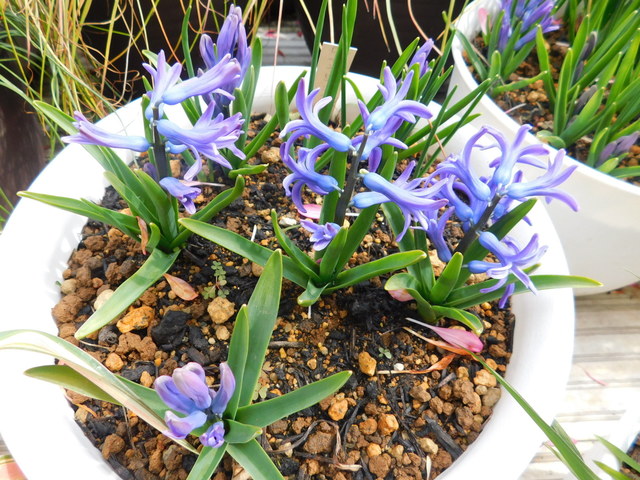 DSCN3170.JPG