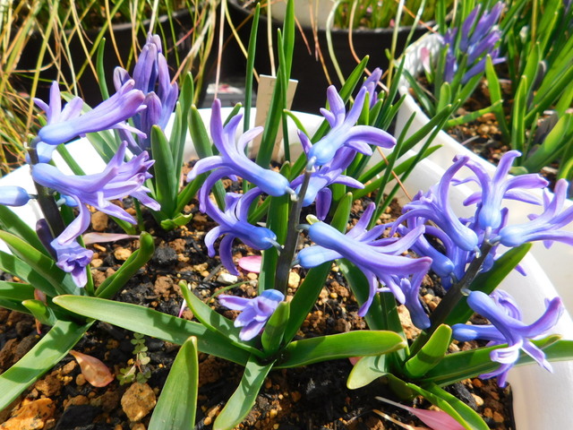 DSCN3172.JPG