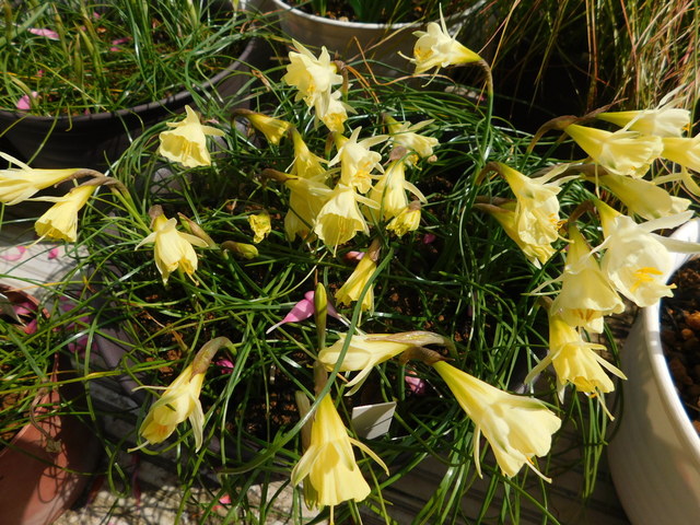DSCN3174.JPG