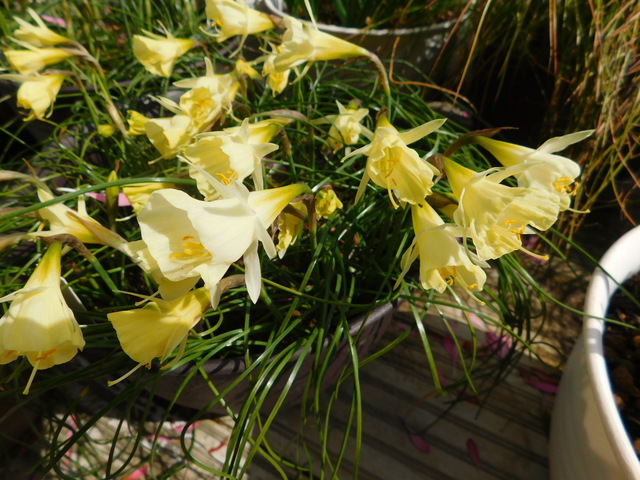 DSCN3176.JPG